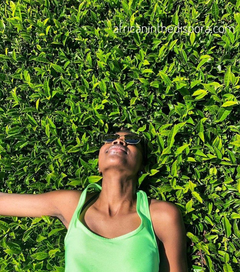 Bring Me My Tea – My Obsession With&nbsp;Chai